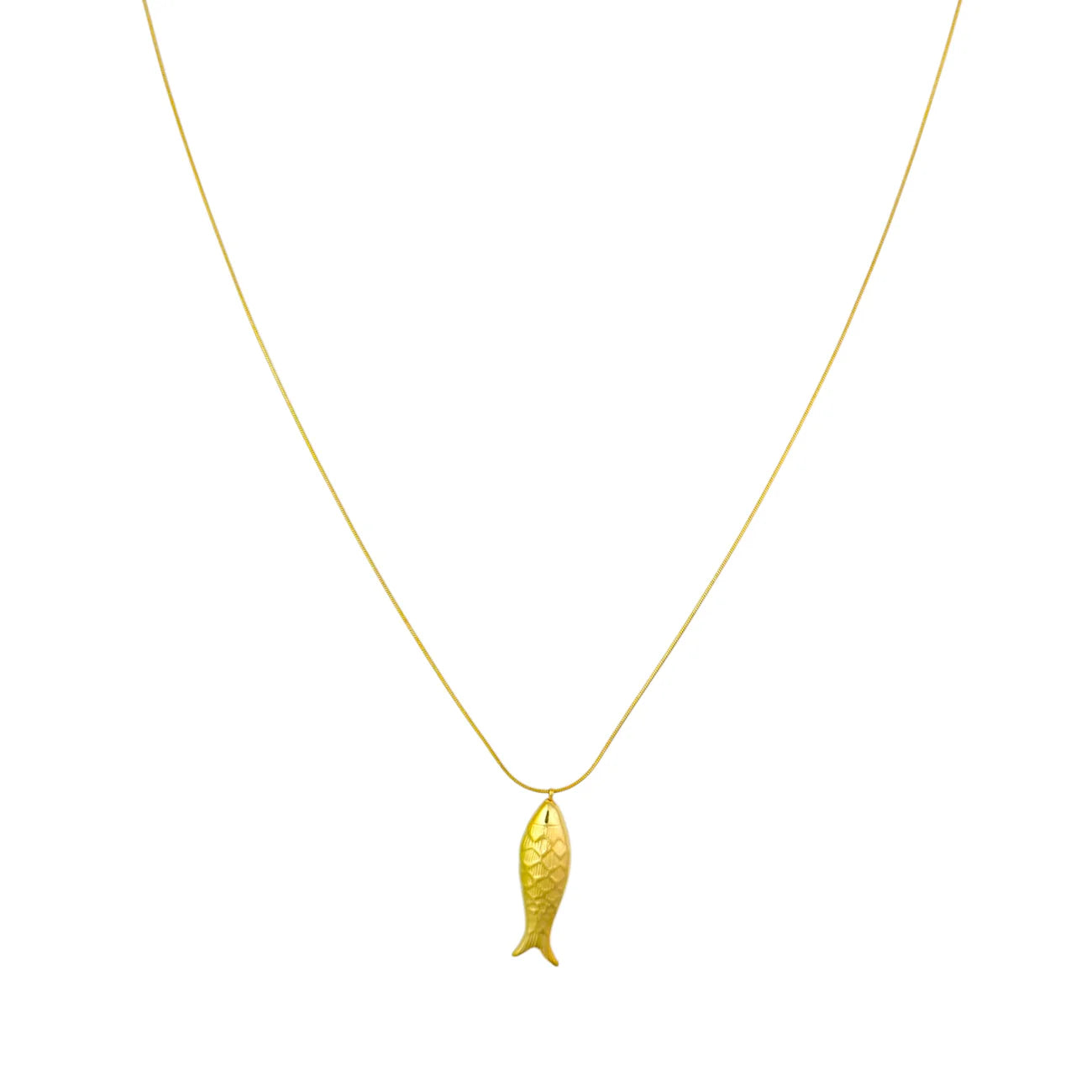 Lange ketting met vis